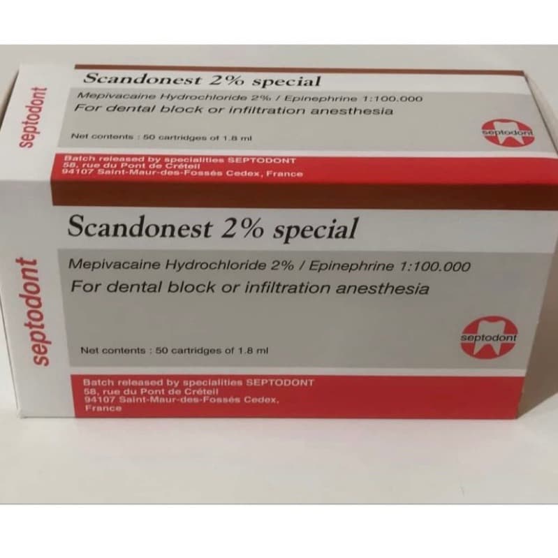 KLIK DENTAL Endoseal Root Canal Obturation Cement